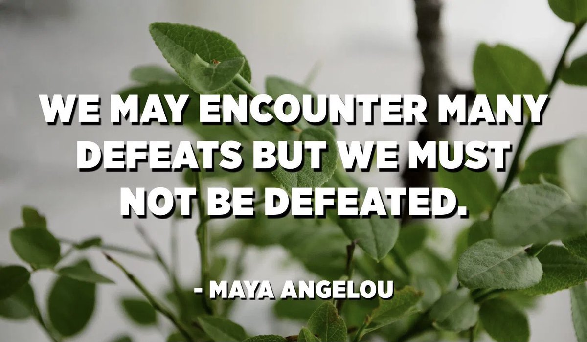 impatrickdailey's tweet photo. "You may encounter many defeats, but you must not be defeated. In fact, it may be necessary to encounter the defeats, so you can know who you are, what you can rise from, how you can still come out of it.”
•
•
Follow @iampatrickdailey 
#motivacion #inspiration #inspirateyourlif https://t.co/WMMCPfCo9a