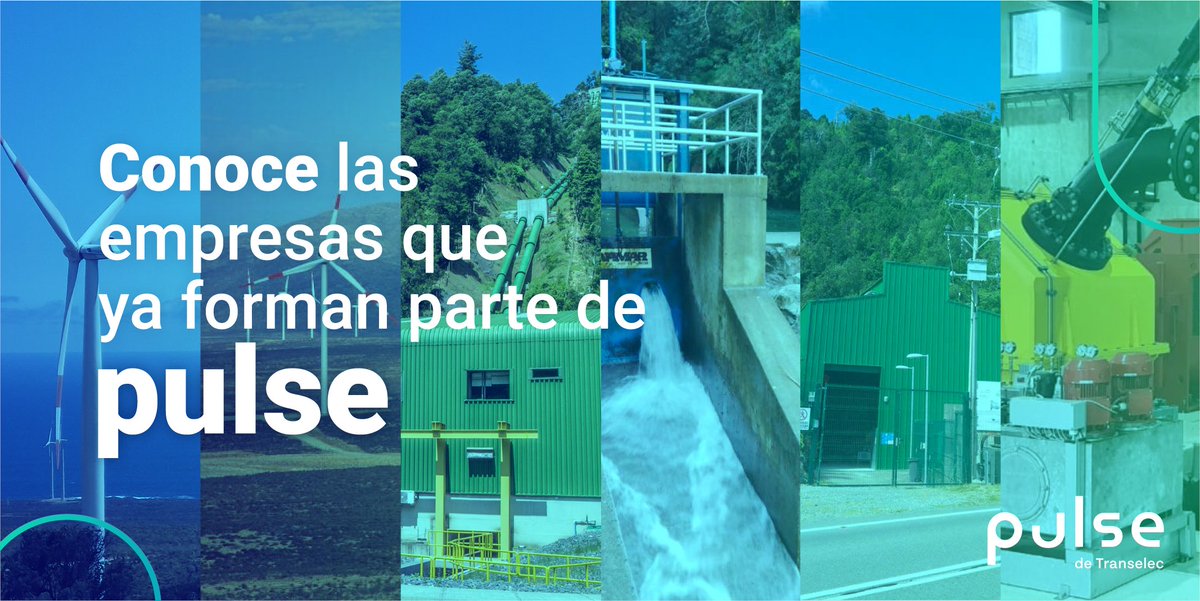 Pulse Energia tweet media
