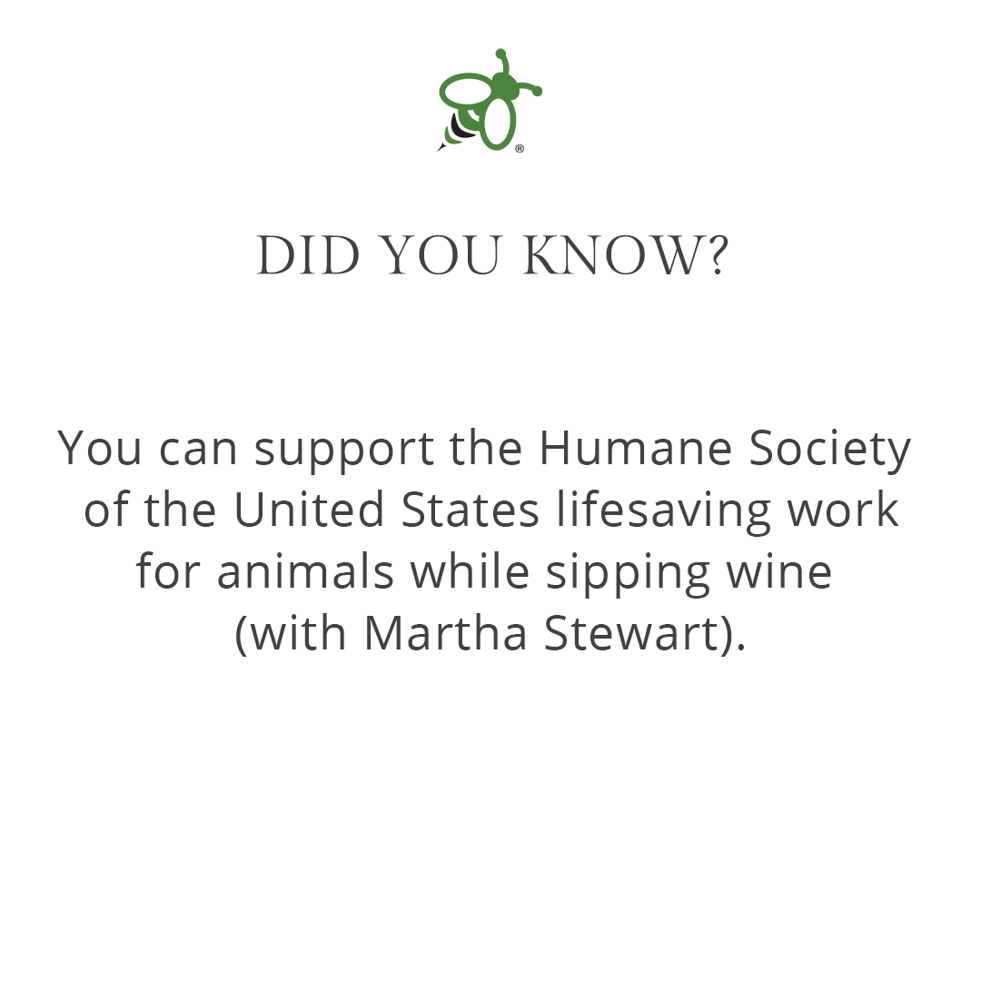 greenbeelife's tweet photo. We think the best kind of gift is one that gives back, and if that same gift also tastes like a Martha Zinfandel, Bordeaux, or Pinot Grigio, all the better! To taste wine while asking questions with vegan sommelier Ferdinando Mucerino &amp; Martha visit: https://t.co/C7uVS2zf2E https://t.co/XoAIcvi4xv