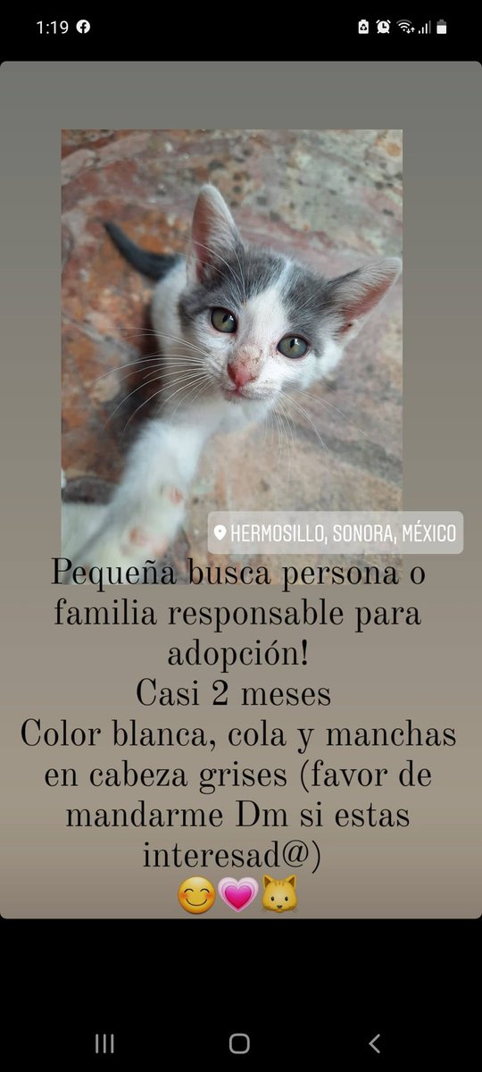 Gabyfontes3's tweet photo. https://t.co/3yphNaj0gb