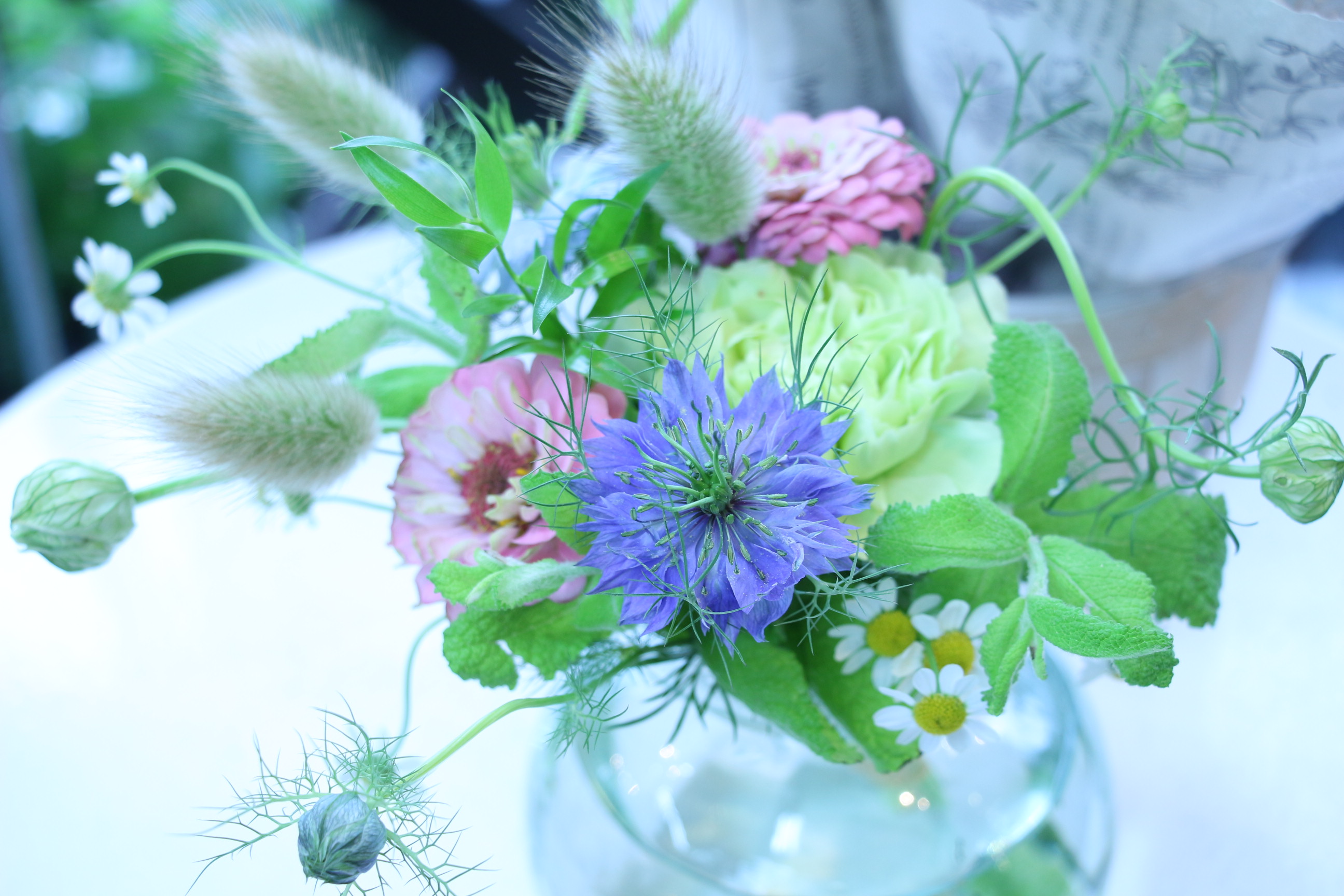 山形市の花屋 Twitter Search Twitter