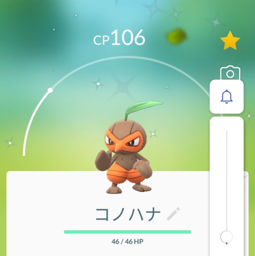 コノハナ色違い Twitter Search Twitter