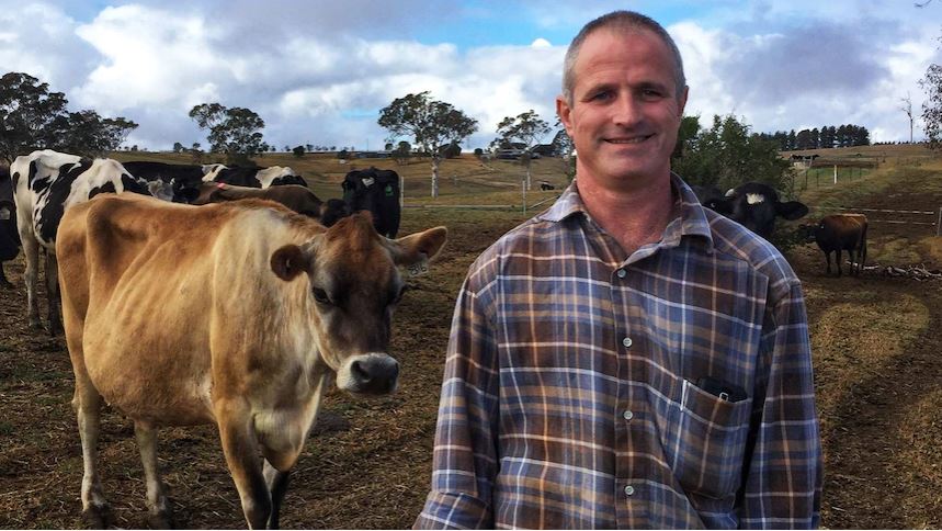 Dairy industry spent millions on a strategic plan, but was it worth it?  <a href="/ABCRural/">ABC Rural</a> #dairy abc.net.au/news/rural/202…
