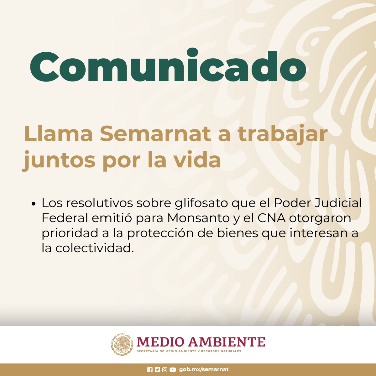 #COMUNICADO

Llama #Semarnat a trabajar juntos por la vida.

📌Los resolutivos sobre #glifosato que el Poder Judicial Federal emitió para Monsanto y el CNA otorgaron prioridad a la protección de bienes que interesan a la colectividad.

Conoce más ▶️ bit.ly/3bSbjWH