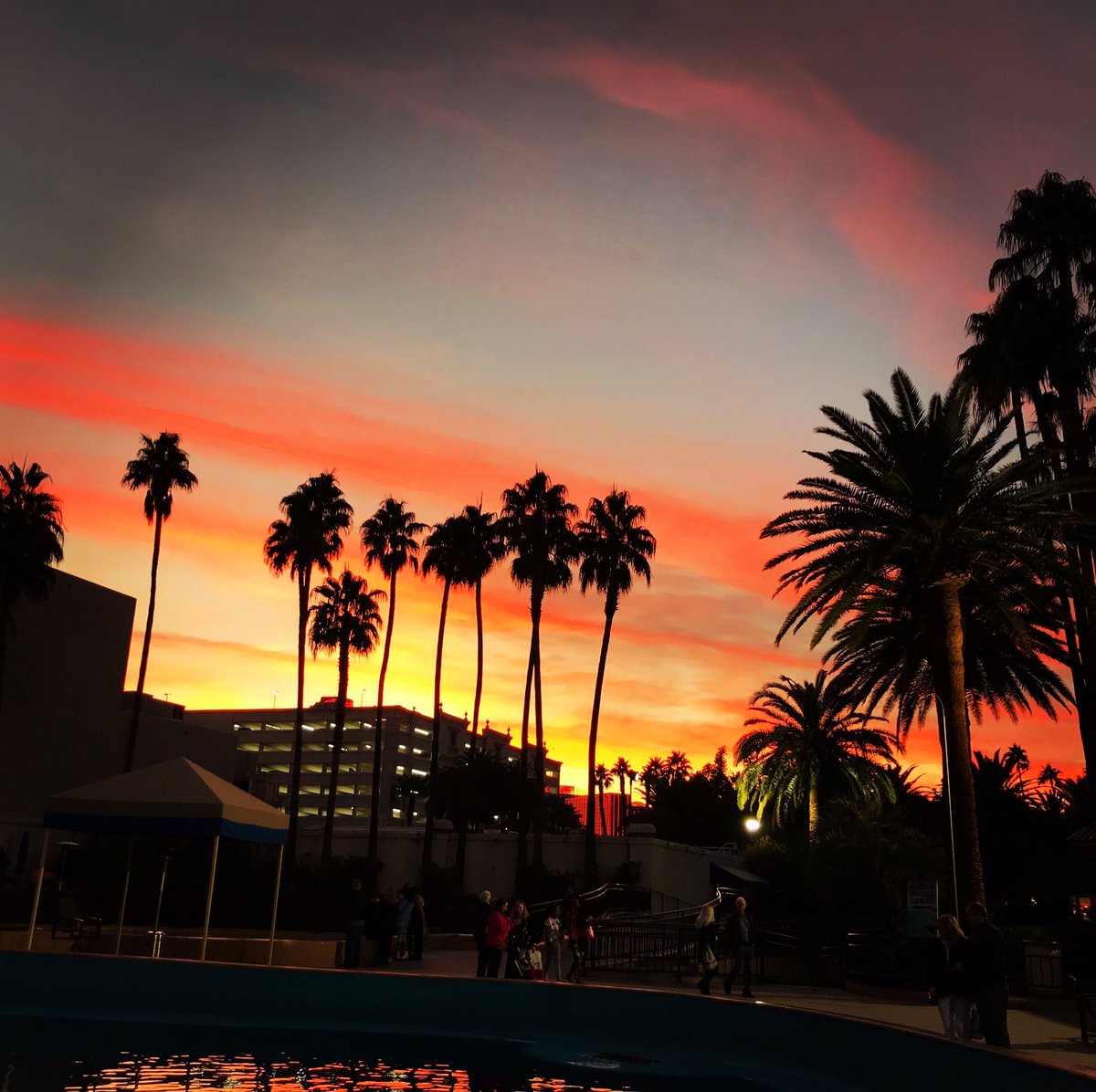 suzanne_peat's tweet photo. As the sun sets on day one of our virtual Vegas Vacation and the BizBash @ Connect 2021 Conference, we end on a positive light, we are energized and look to tomorrow’s continuing education sessions. 
🇨🇦🌴🥂🇺🇸
#bizbashconnect2021 #djbattle #timeforcocktails https://t.co/cGxwJdhm15