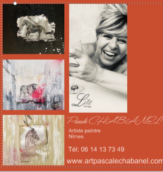 ChabanelPascale's tweet photo. #artpascalechabanel#. https://t.co/Dd0o1Oljlu