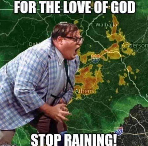 Texas Bishop 9 tweet media