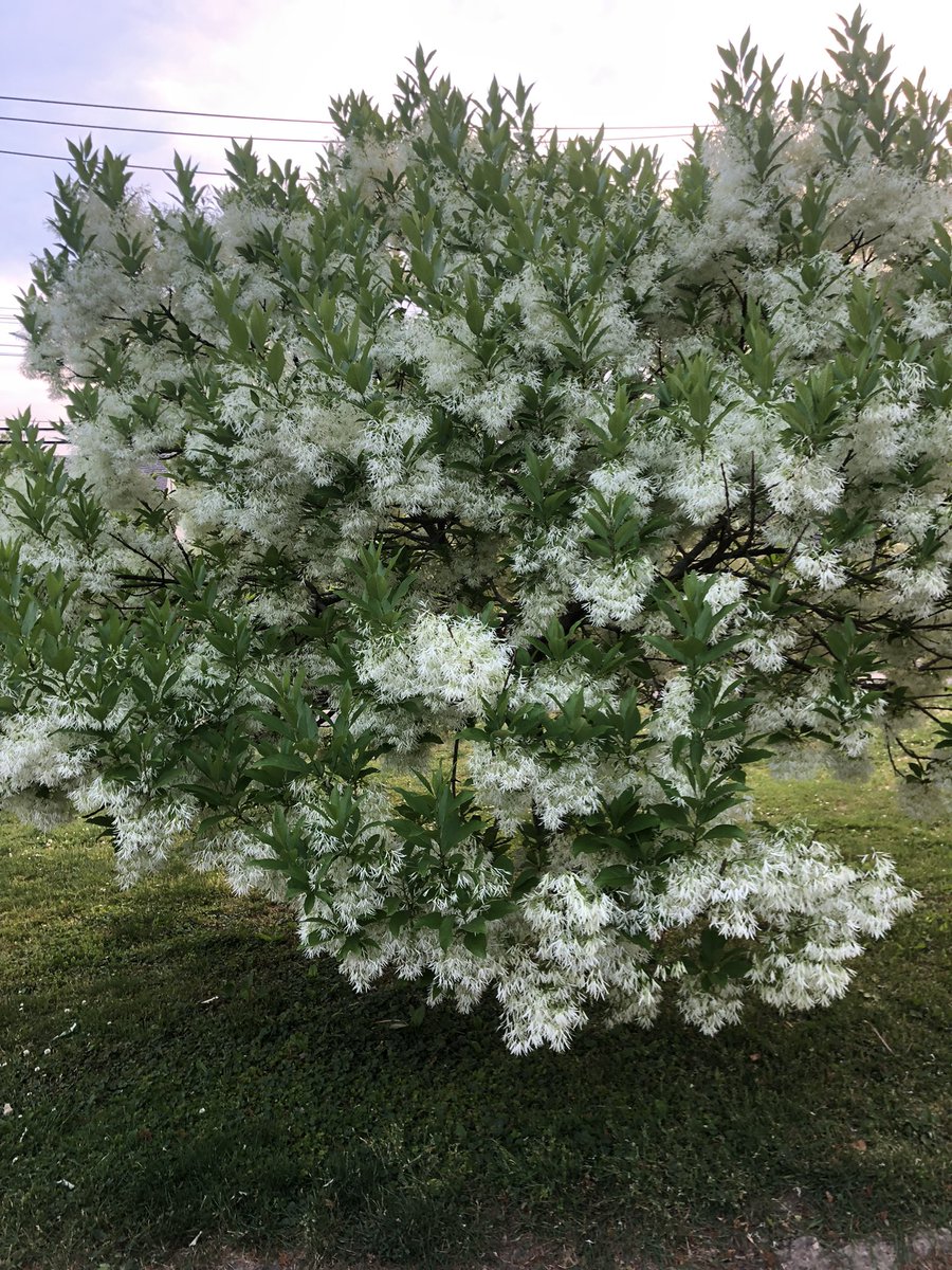 Amy Siskind 🏳️‍🌈 tweet media