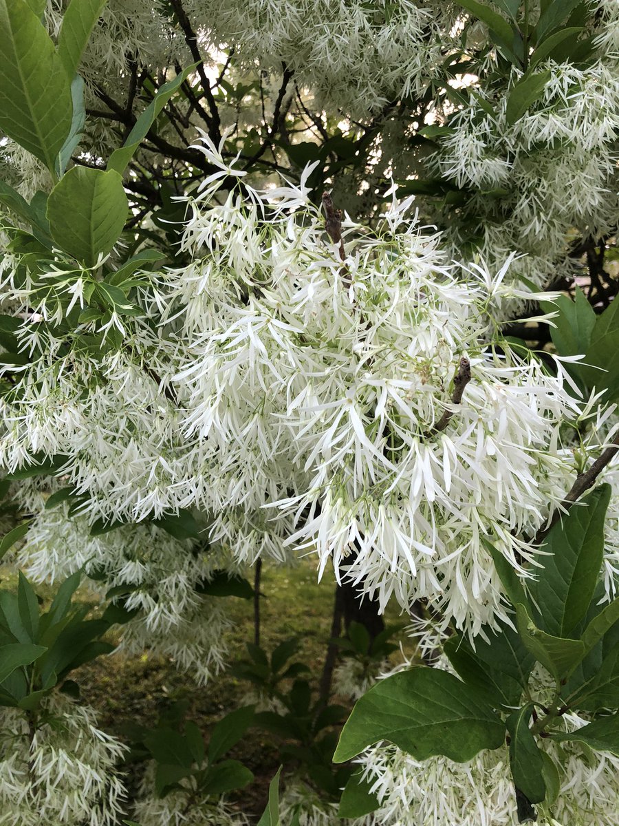 Amy Siskind 🏳️‍🌈 tweet media