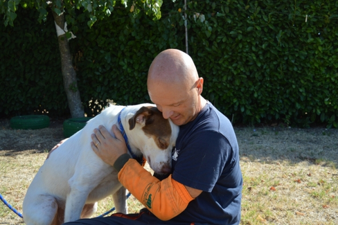 Field_ink's tweet photo. CARLOS - adoption of the heart https://t.co/80mpq7fybv https://t.co/ysxF9suOpr