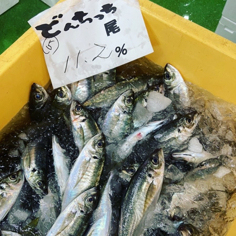 山陰浜田港 渡辺鮮魚店 Watanabesengyo Twitter