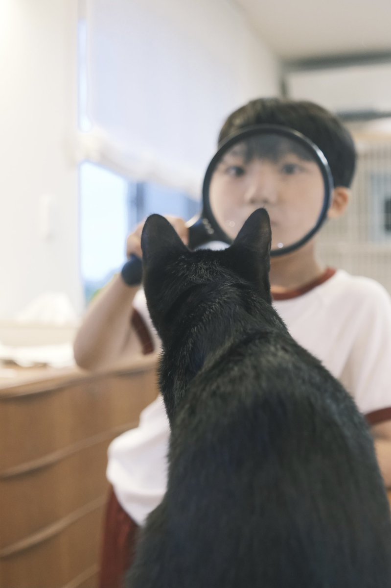 JUN_MTD's tweet photo. 息子たちが猫と過ごしている時間を見ることに幸せを感じている。そこに猫がいなかったら見られなかった顔がたくさん。人間関係もそんなふうだったら良いと思うので、一緒にいると幸せになれる人と関わりたいものだね。
#ネコ #猫のいる生活 https://t.co/5ziyhMQijh