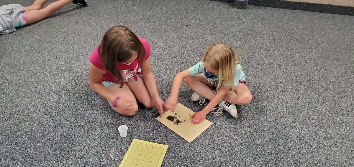 AmyDixonTES's tweet image. Seeing what creatures we can find in owl pellets #thirdgradescience @SubaRick