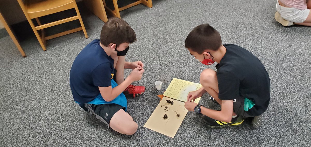 AmyDixonTES's tweet image. Seeing what creatures we can find in owl pellets #thirdgradescience @SubaRick