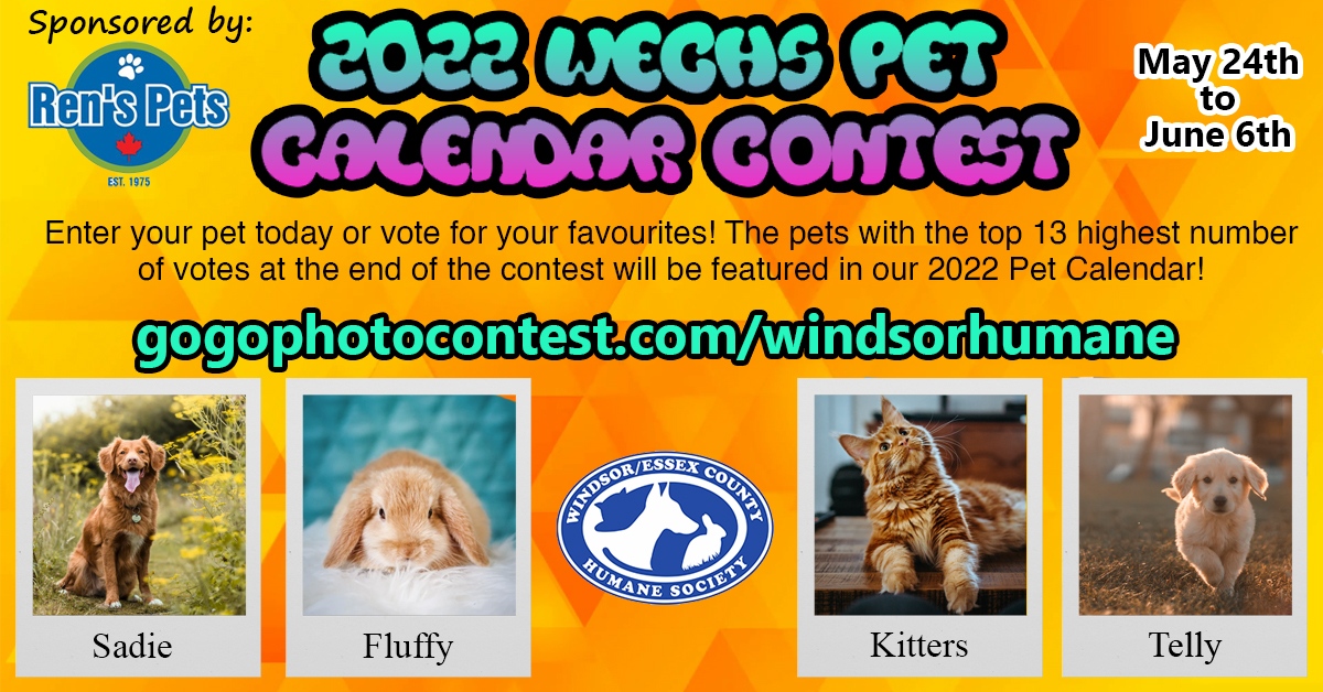 The 2022 WECHS Pet Calendar Contest is open! The top 13 pets with the highest number of votes will receive a photo shoot with photographer Steve Biro, a spot in the calendar, and a gift card from calendar sponsor Ren's Pets! 

gogophotocontest.com/windsorhumane