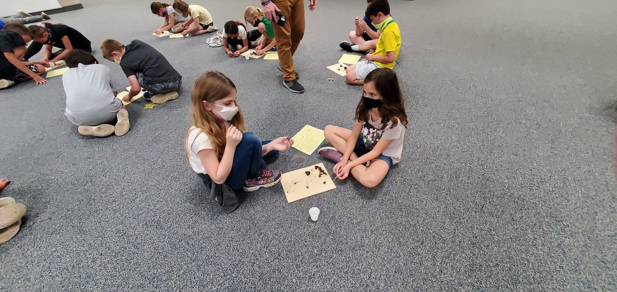 AmyDixonTES's tweet image. Seeing what creatures we can find in owl pellets #thirdgradescience @SubaRick