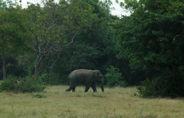 Hartos de la inacción, los jóvenes lanzan frontal campaña por la biodiversidad ipsnoticias.site/2021/05/hartos… via <a href="/CambioClimMX/">Cambio Climático MX</a>