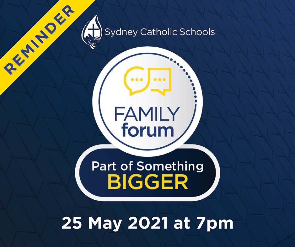 St Fiacre's Primary tweet media