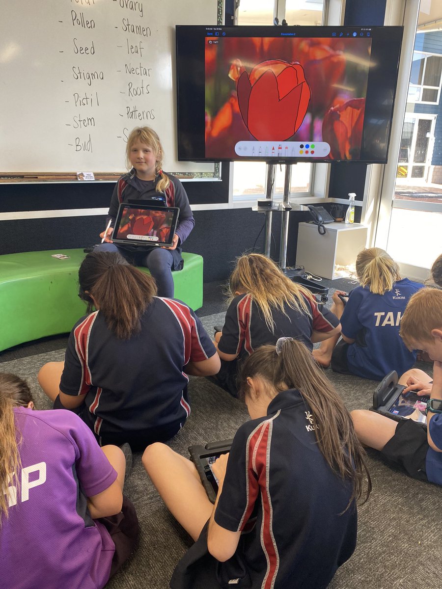 ‘Whaea Baja’ is 8 &amp; here she is leading the learning using keynote to draw flowers 🌸🌻🌼 <a href="/KellyJ_McEvoy/">Kelly McEvoy</a> <a href="/DoroCollier/">Dorothea Collier</a> <a href="/takpschool/">Te Ākau ki Pāpāmoa School</a>