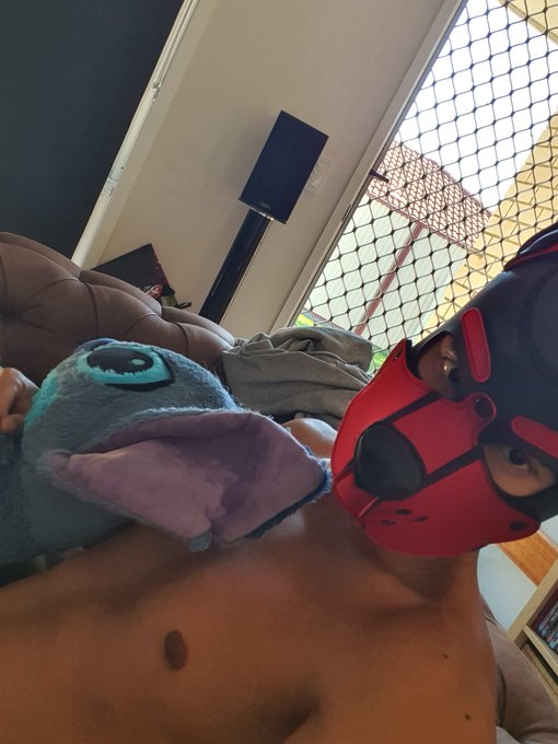 Pupz and stitchz?? https://t.co/WUz3QuMDOG