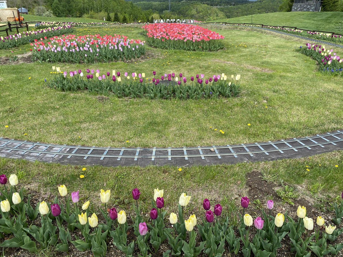 滝野 すずらん 丘陵 公園