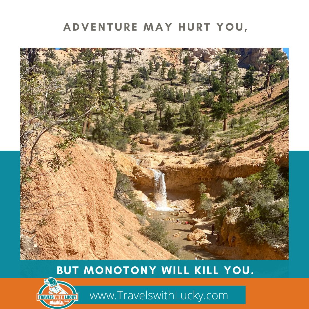 RVwithLucky's tweet photo. Sometimes you have to make an effort and search for beautiful locations. But, in the end the work is rewarded with memories that last forever

#gorving #rvliving #rving #fulltimerv #camping #adventure #travelswithlucky https://t.co/XasQziwm5R