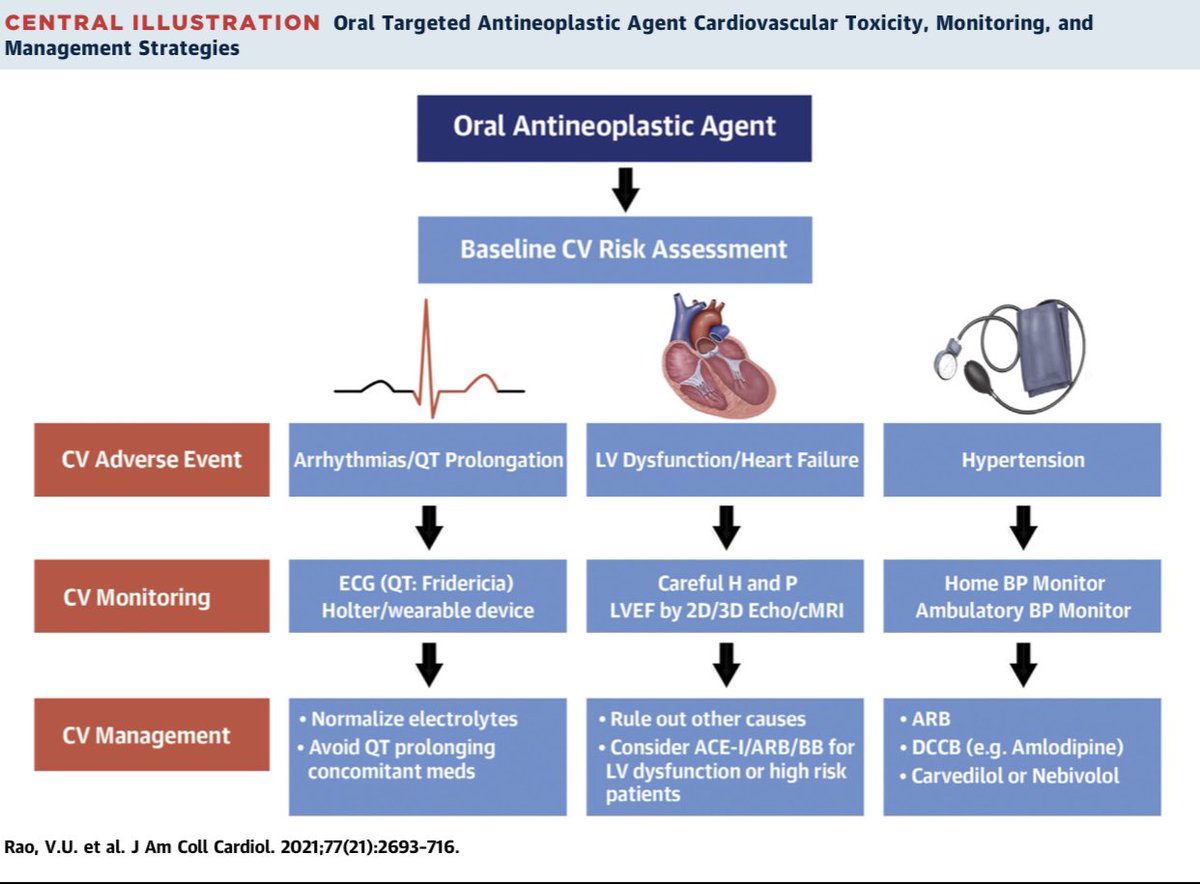 HanCardiomd's tweet photo. This is an fantastic article on Clinical Approach to Cardiovascular Toxicity of Oral Antineoplastic Agents: @JACCJournals State-of-the-Art Review https://t.co/3ufd474vr9 Great work by @Vijayrao7474 @Dr_Mike_Fradley @sdent_duke @AnaBaracCardio @RupalOQuinn @DrRyanPDaly https://t.co/d6KPzjEk16