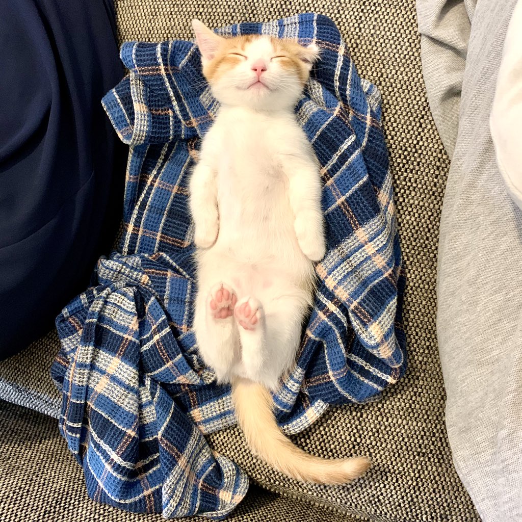 ycomic (@ycomic) on Twitter photo 