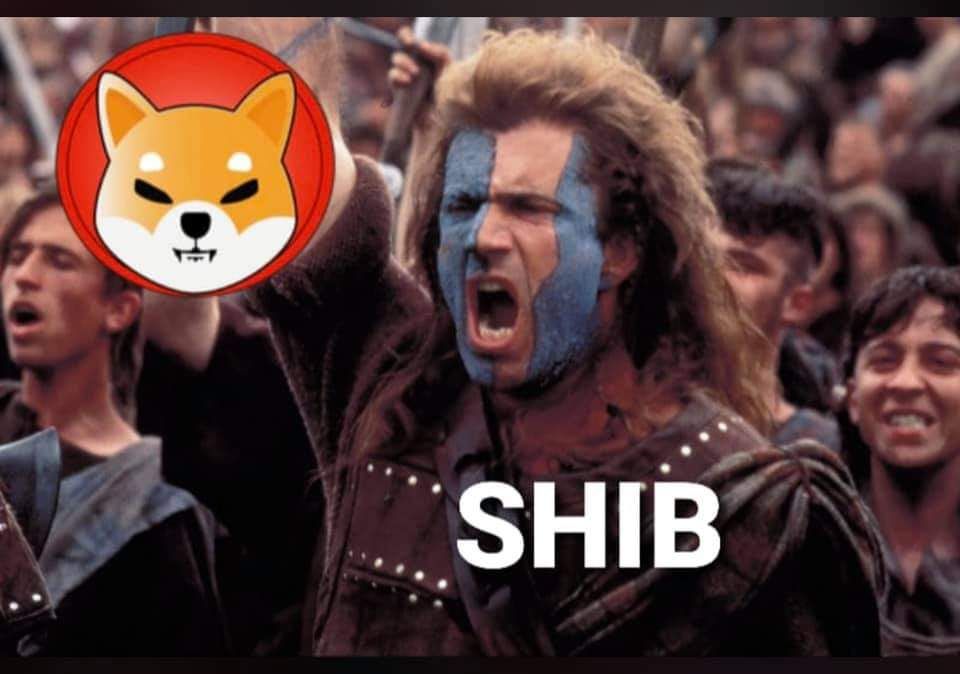 VanguardVNG's tweet photo. @elonmusk #buythedip #shib @elonmusk https://t.co/ygMIYfXwRn