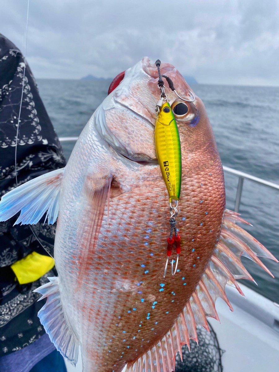 palms_global's tweet photo. SLJ with The Dax in Japan 🇯🇵
Lure: The Dax 60g Gold-green color(H-510)
#palms #palmsfishing #snapper #snapperfishing #slj #superlightjigging #lightjigging #jigging #metaljig #metaljigs #boatfishing #offshorefishing #offshorejigging #japanfishing #fishingjapan @palms_japan https://t.co/ZlmnGI2kbM