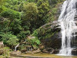 OfficalTravel's tweet photo. Today was our last day In Rio. #TijucaNationalPark Our Goals after this trip Is to go to Puerto Rico and Costa Rica. Stay tuned for our upcoming tweets <3- Milly https://t.co/9A29K8JmBK