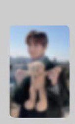 jwkektus's tweet photo. I will literally burn that mfing teddy bear 😭😭 https://t.co/Tjmmf7b5ny