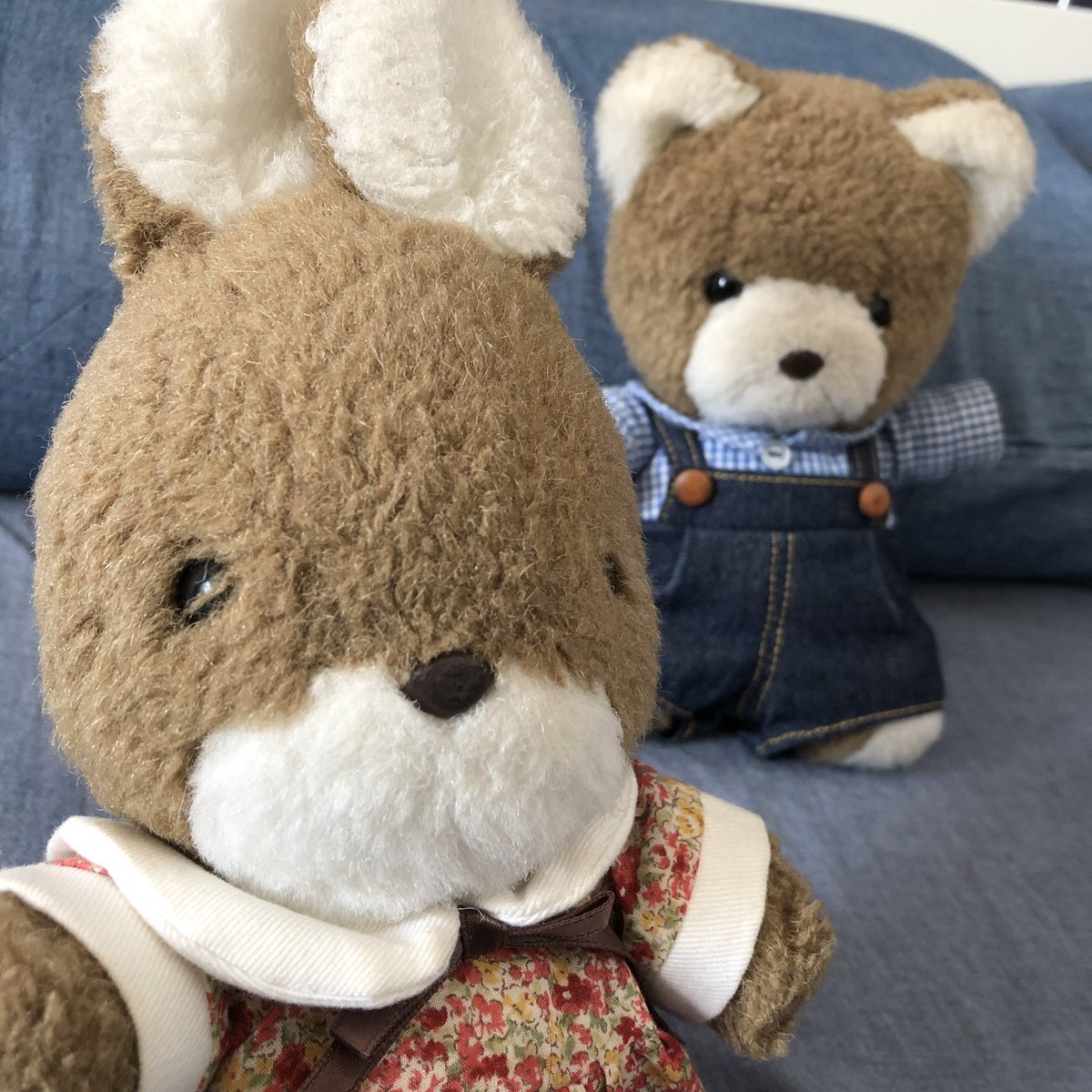 うさぎのラッキー うさぎのラッキー