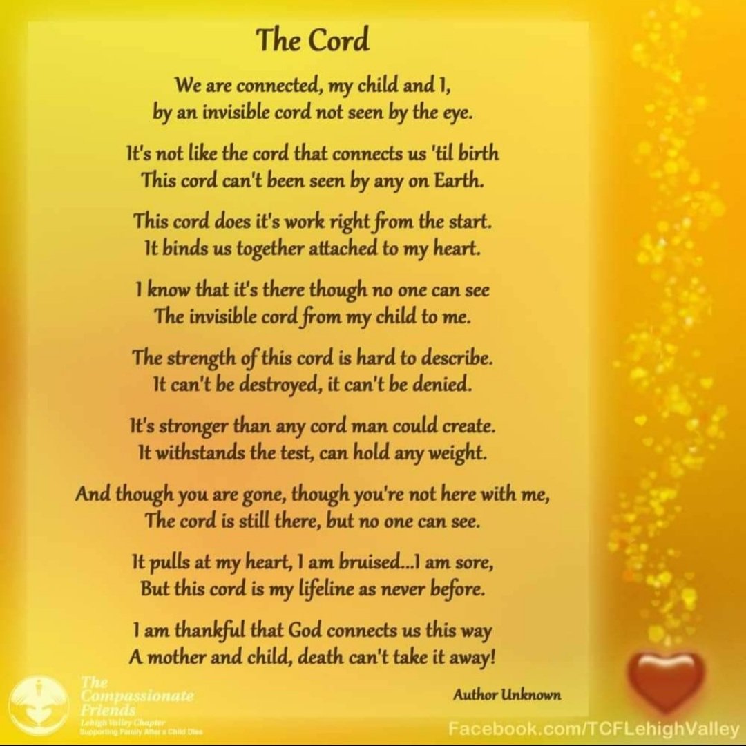 jeramirez0902's tweet image. 💛🕊💛 #LLRico #DontDriveDrunk 
#MADD