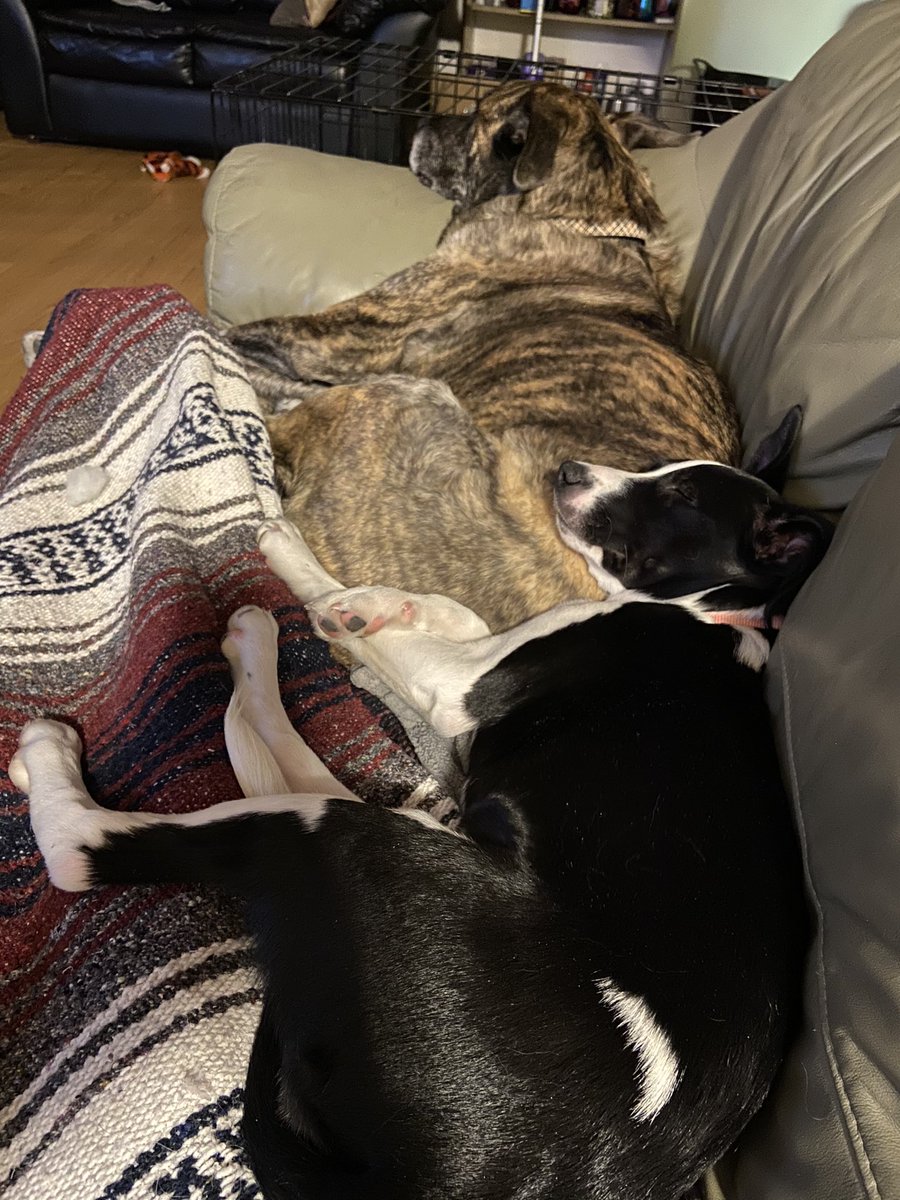 johnsonrob3's tweet image. It’s been awhile.