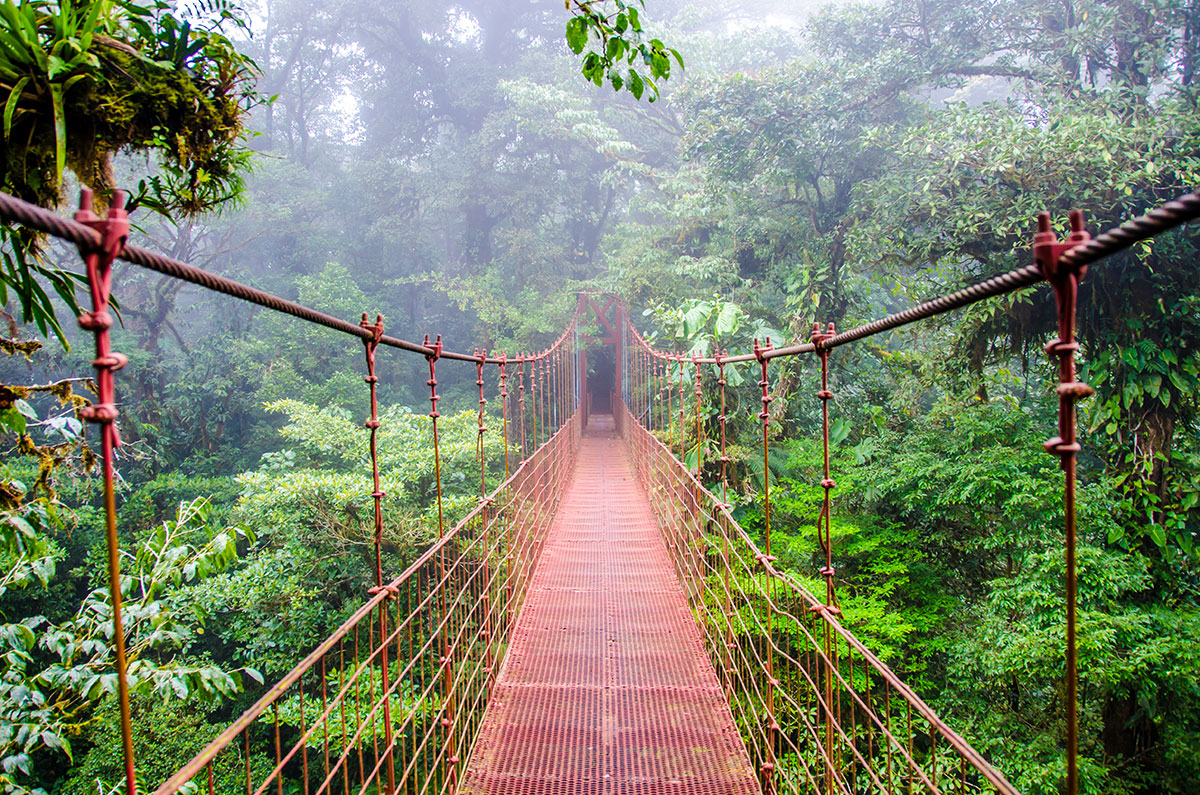 OfficalTravel's tweet photo. Look at this view.. The forest was so beautiful. This bridge was so fun to walk over. The animals we saw were just so I can't even explain it. Definitely going to visit here again sometime -Megan https://t.co/UREA8PhYCz