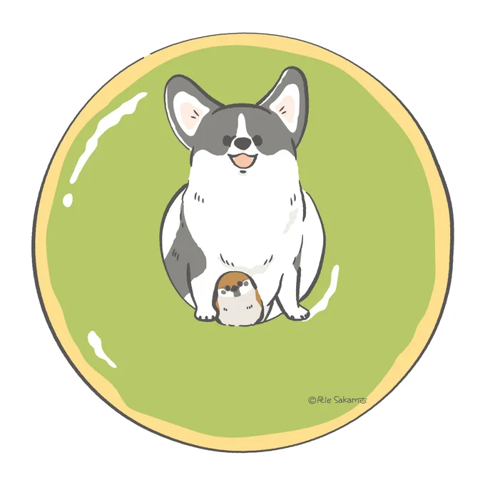コーギーとスズメとドーナツと(3/9)
#corgi #コーギー 