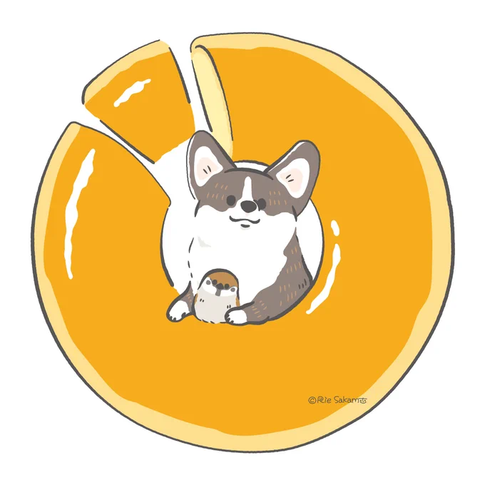 コーギーとスズメとドーナツと(2/9)
#corgi #コーギー 