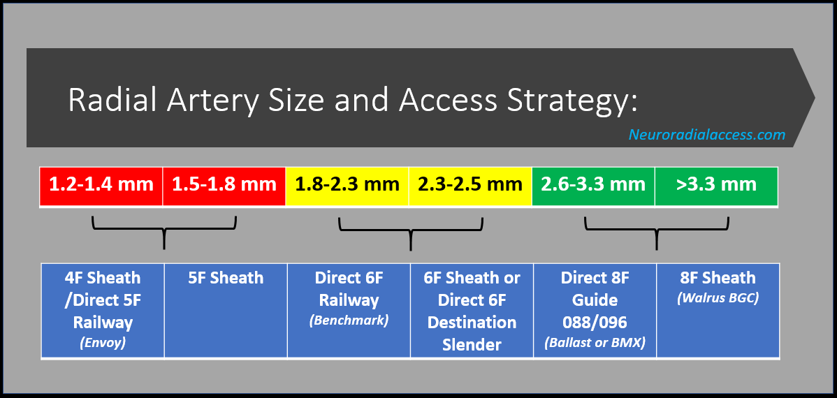 Sudhakar R. Satti, MD, FAHA tweet media