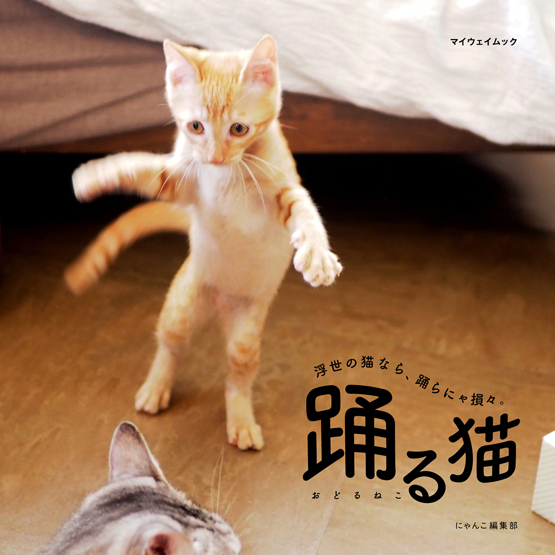 ピーエーディー Pad Editorial Twitter ピーエーディー Pad Editorial Twitter