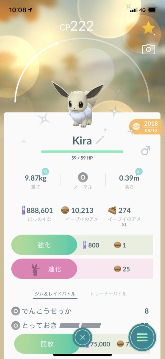 ニンフィア X ニンフィアに進化 Hotワード