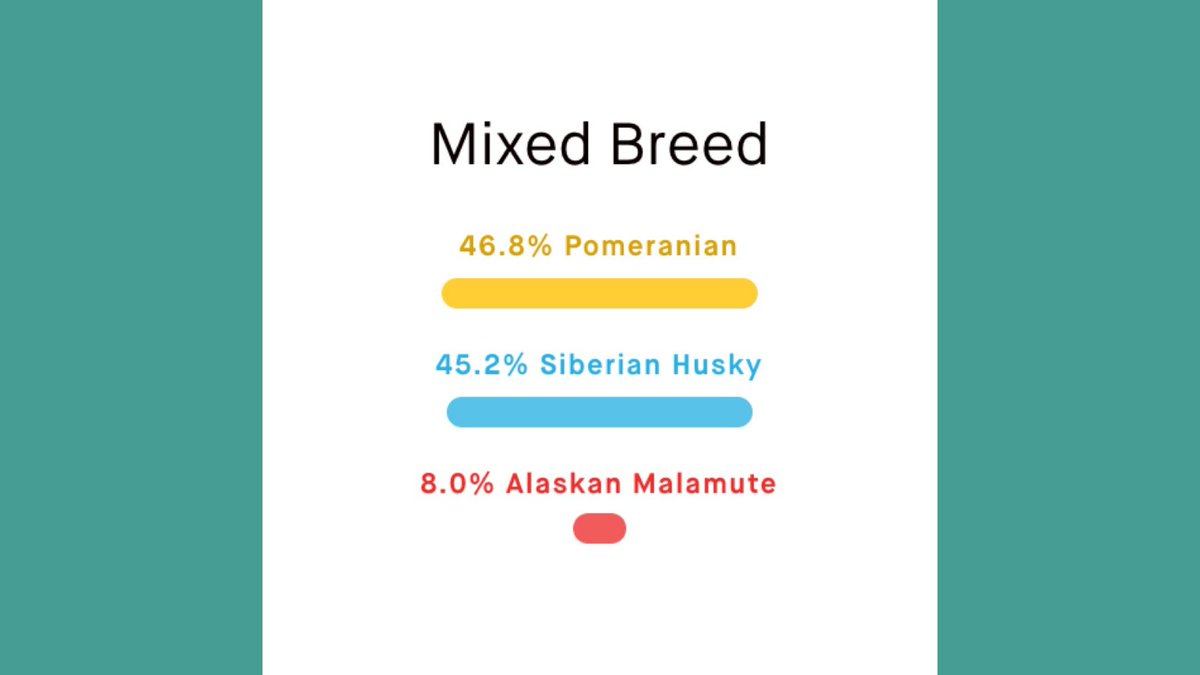 embarkvet's tweet photo. Can you match the Embark breed results correctly? Leave your guess in the comments! #MondayMatch
1. Lupin
2. Udon
3. A
4. B
Check back tomorrow to see if you got it right!
#EmbarkDecoded #EmbarkVet #EmbarkWithUs https://t.co/y1DQAdC3i4