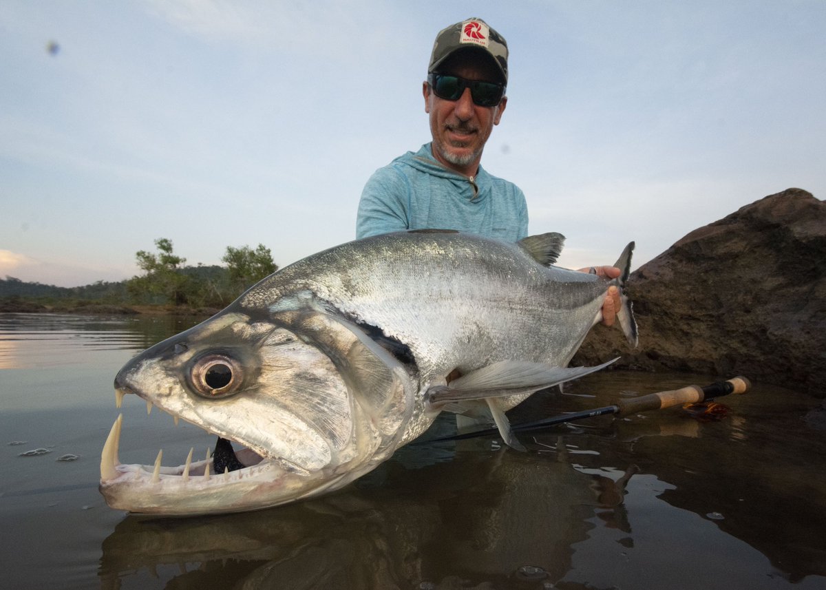 Xingu Lodge tweet media