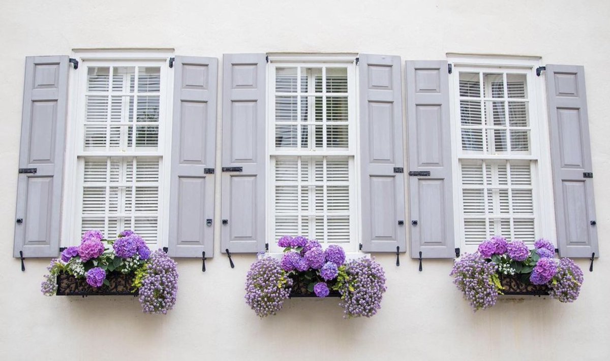 Congrats! @tammasmithphotography has been selected as today's finalist for our #ChasMagWindowBoxes #PhotoContest presented by @dunesproperties. Submit your best Charleston window box photo on Instagram for a chance to win $250 from @tigerlilyfloristchs.  #springincharleston