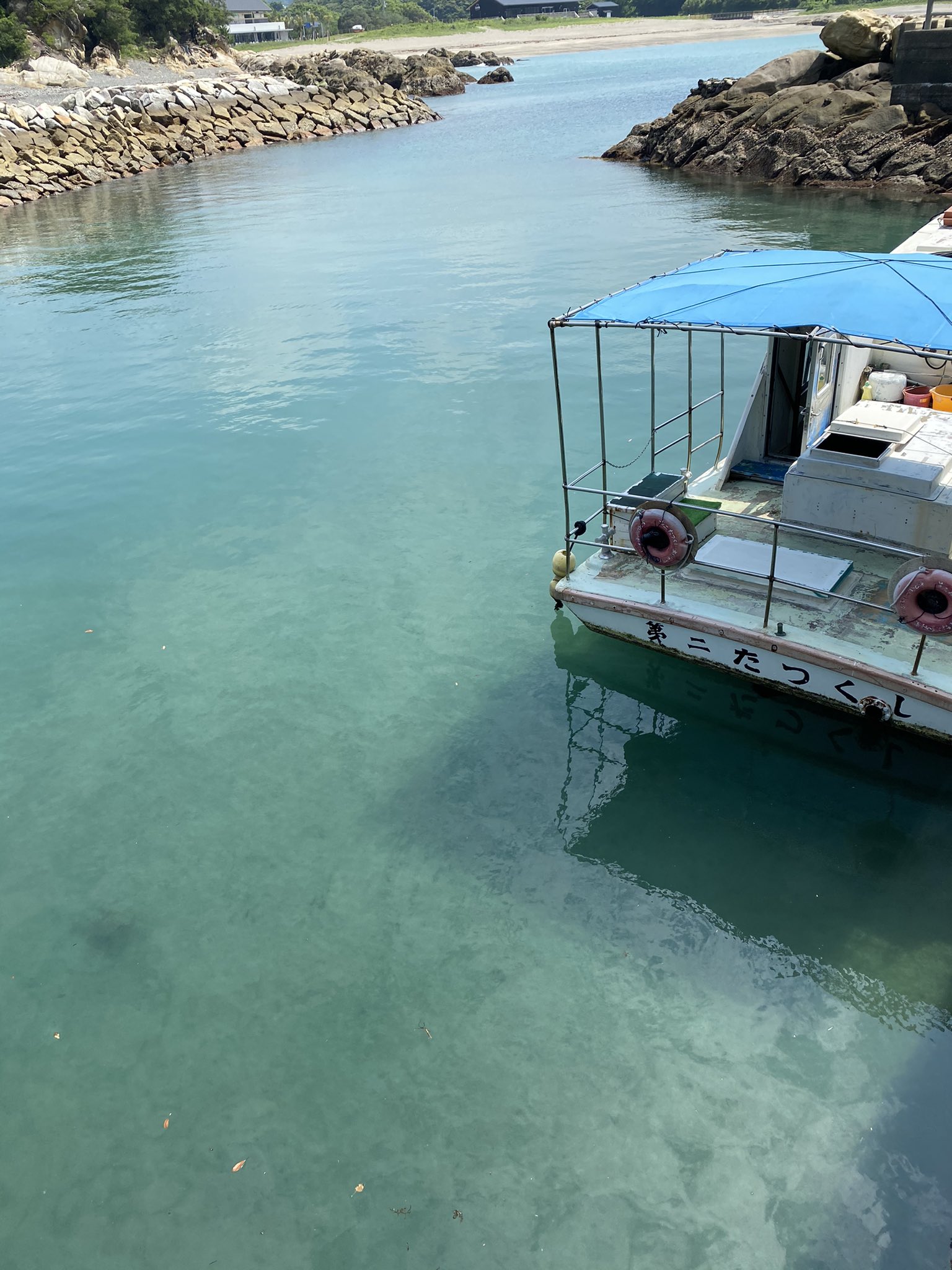 海の物産館ながしま うし店長 小店長そら 竜串グラスボート たつくし海中観光 運航中 竜串シーボトルづくり体験 T Co Llcotxlo93 高知 土佐清水 足摺岬 四万十 柏島 竜串 竜串海岸 海の物産館ながしま グラスボート 足摺海底館