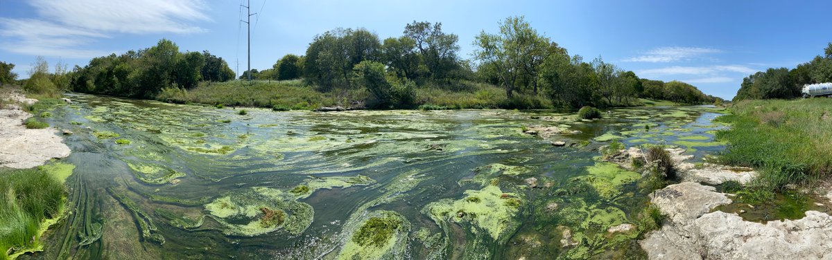 Bustamovemorris's tweet photo. Plz ask @twdb to add a #fundingtoolbox program w/ focus on #TPDES #wastewaterdischarge REDUCTION, #waterreuse &amp; #purplepipe infrastructure, to #stopkillingtexasrivers. Use ALL #H2O in our systems b4 #displacingpeople 2 build reservoirs. Add reuse clause to ALL WW $contracts https://t.co/BiNpceohD1