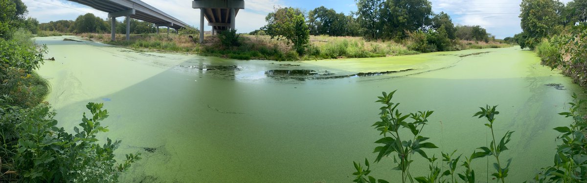 Bustamovemorris's tweet photo. Plz ask @twdb to add a #fundingtoolbox program w/ focus on #TPDES #wastewaterdischarge REDUCTION, #waterreuse &amp; #purplepipe infrastructure, to #stopkillingtexasrivers. Use ALL #H2O in our systems b4 #displacingpeople 2 build reservoirs. Add reuse clause to ALL WW $contracts https://t.co/BiNpceohD1