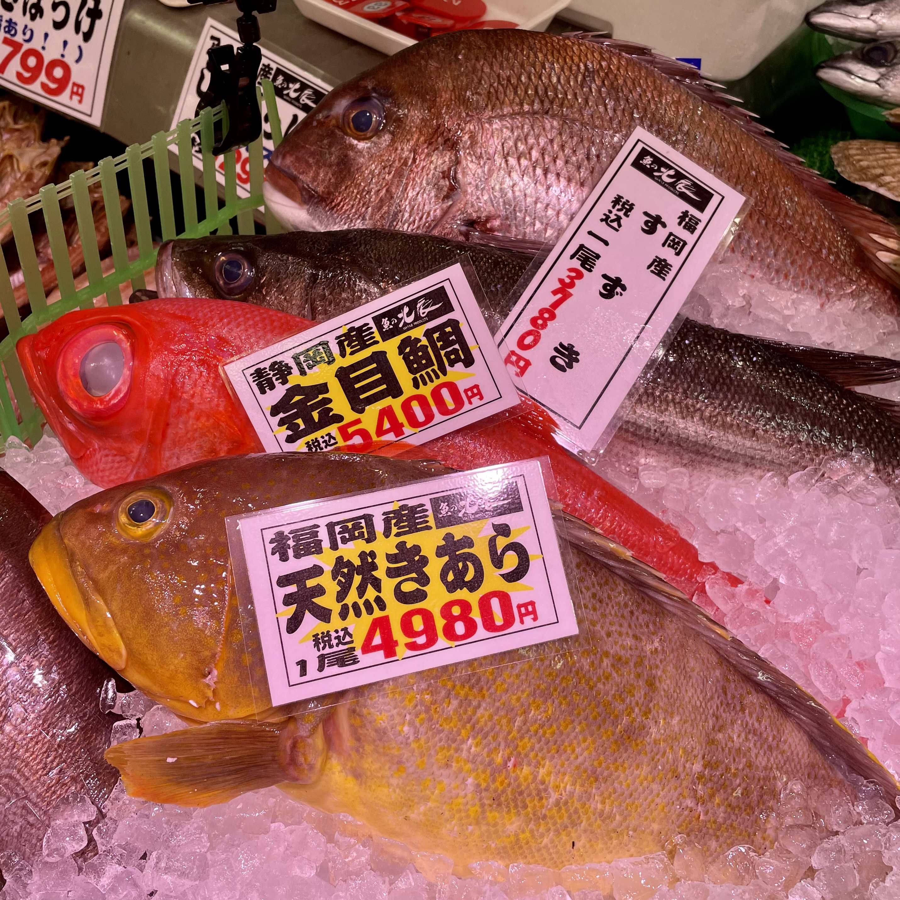 大丸札幌店 デパ地下トピックス 朝の北辰 おはようございます 朝の鮮魚売場 北辰 は宝の山 本日5月25日のおすすめは 本日のイチオシ 湧別産貝帆立 8枚 税込1 000円 今が旬 富山県産ぶり 天然 1パック 税込498円 他にも全国各地から新鮮