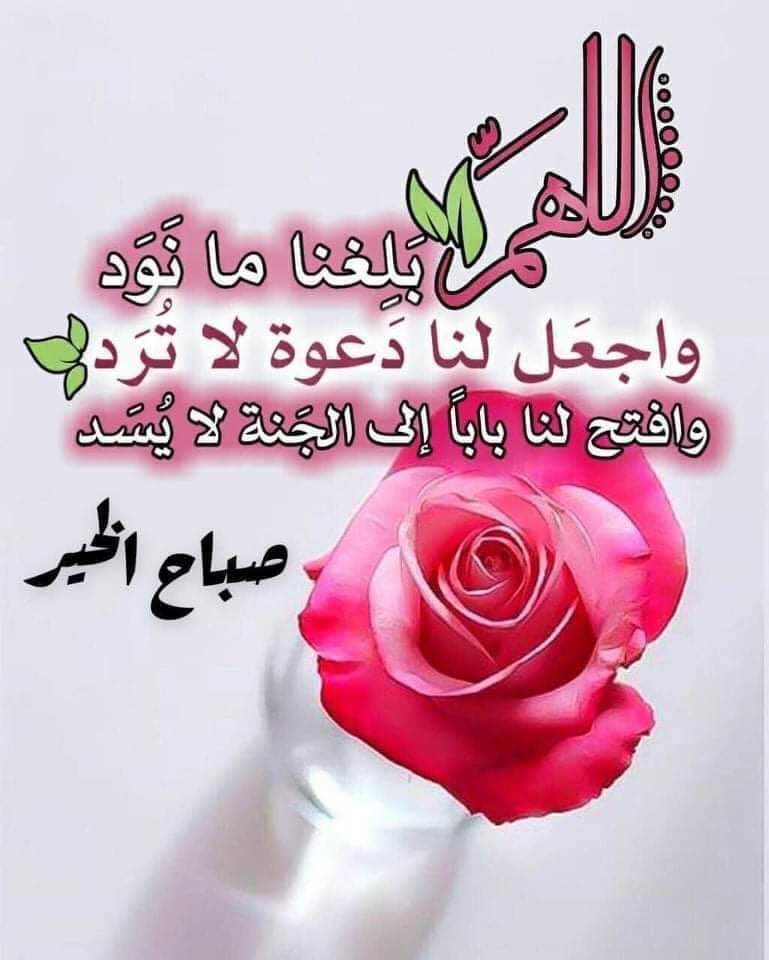بنت النيل من السويس On Twitter وفي صباح يوم اليوم جديد اللهم اجعلنا أسعد خلقك بك وأقرب عبادك إليك اللهم اغفر لنا ما مضى واصلح لنا ما بقى واكتب