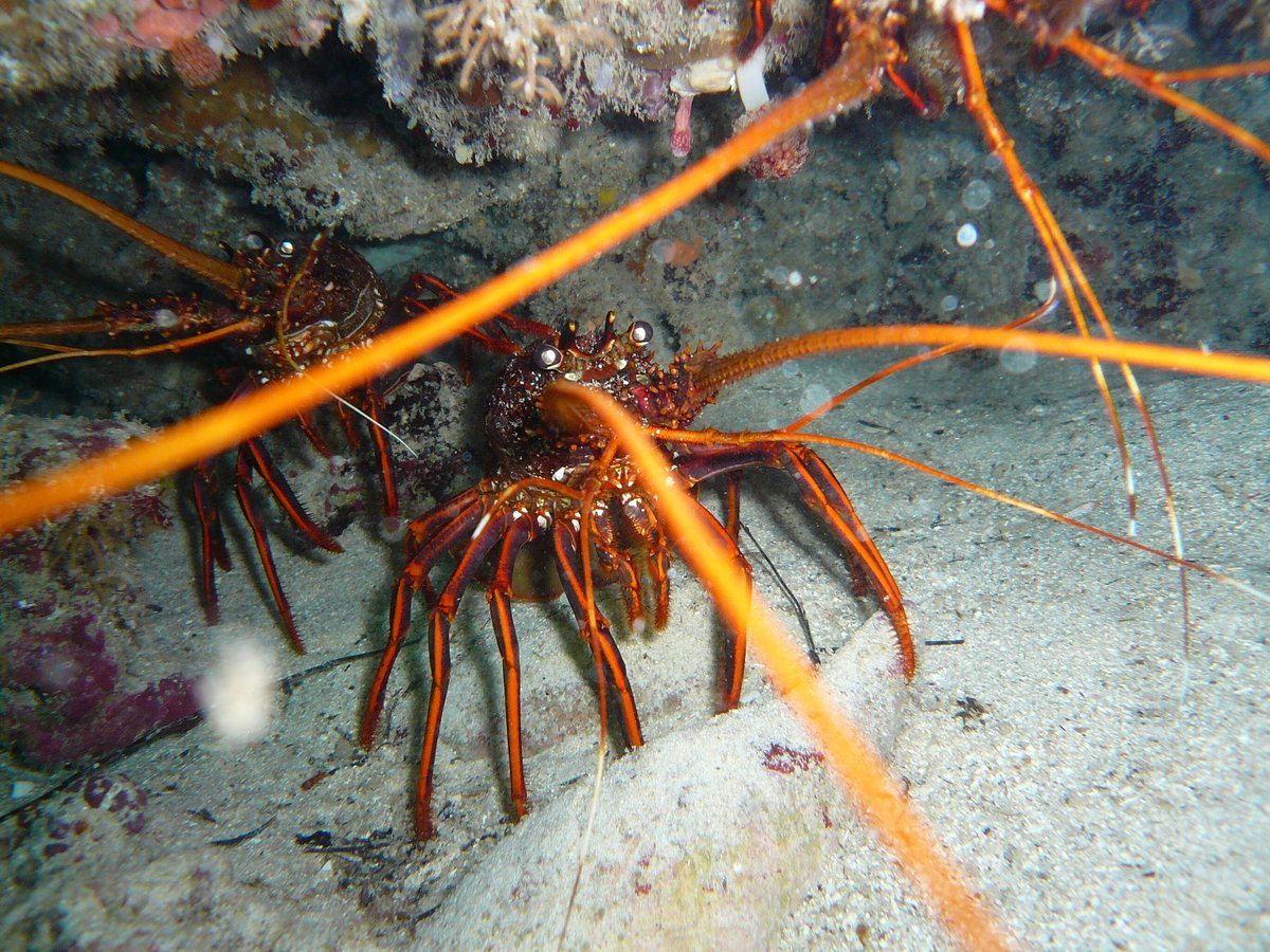 Emma-Jade Tuffley tweet media